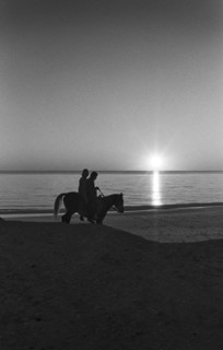 Couple Riding Horse on Beach