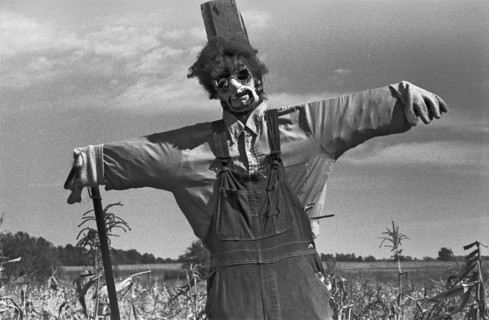 Scarecrow in Field