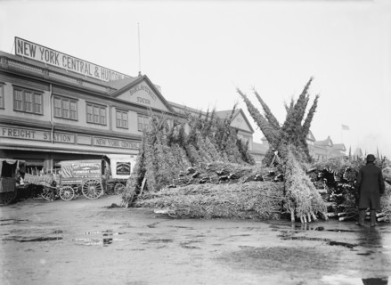 Christmas Tree Market, Barclay Street Station, New York City, New York, USA, Detroit Publishing Company, 1895