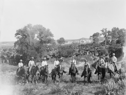 Cowboys on Horses on Cattle Ranch, Portrait, Texas, USA, Detroit Publishing Company, 1900