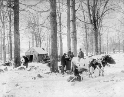 Men At Work in Maple Sugar Camp, USA, Detroit Publishing Company, 1905