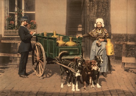 Flemish Milk Woman, Antwerp, Belgium, Photochrome Print, Detroit Publishing Company, 1900