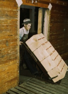 Worker Loading Oranges into Refrigerator Car at Co-op Orange Packing Plant, Redlands, California, USA, Jack Delano for Farm Security Administration, 1943