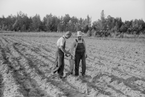 Two Farmers Using Mechanical Tobacco Planter in Field near Chapel Hill, North Carolina, USA, Jack Delano for Farm Security Administration, May 1940
