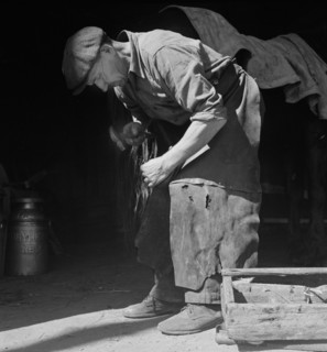 Man Shoeing a Horse, Wallingford, Connecticut, USA, Jack Delano for Farm Security Administration, 1943