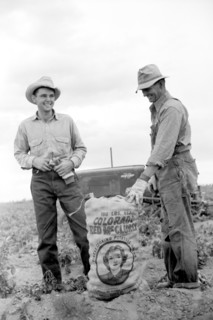 Farmer and Son with Sack of Potatoes, Rio Grande County, Colorado, USA, Arthur Rothstein for Farm Security Administration, October 1939