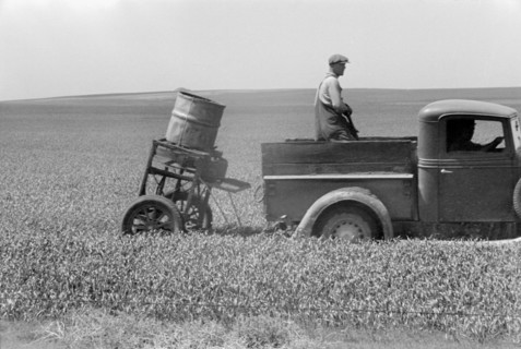Farmers Spreading Poison Grasshopper Bait, Richland County, Montana, USA, Arthur Rothstein for Farm Security Administration (FSA), June 1939