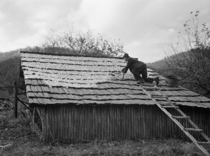 Man Spreading out Apples to Dry, Nicholson Hollow, Shenandoah National Park, Virginia, USA, Arthur Rothstein for Farm Security Administration (FSA), October 1935