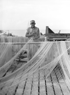Fisherman, Key West, Florida, USA, Arthur Rothstein for Farm Security Administration (FSA), January 1938