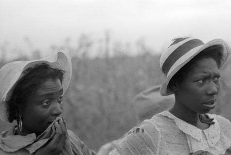 Two Day Laborers Employed Picking Cotton, Lake Dick Project, Arkansas, USA, Russell Lee, September 1938