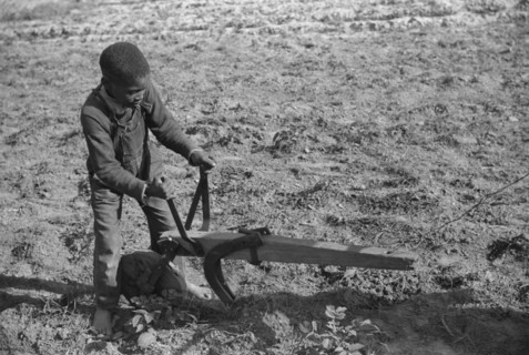Young Boy Plowing School Garden, Gees Bend, Alabama, USA, Marion Post Wolcott for Farm Security Administration, May 1939