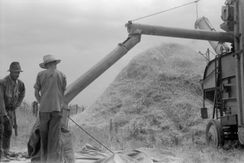 Two Men Threshing Wheat on Farm, Oldham County, Kentucky, USA, Marion Post Wolcott for Farm Security Administration, July 1940