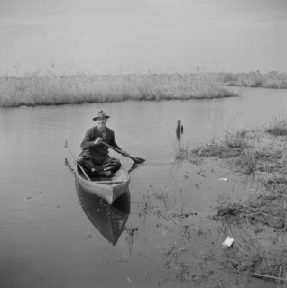 Muskrat Trapper Paddling Canoe, near Delacroix Island, Louisiana, USA, Marion Post Wolcott for Farm Security Administration, January 1941