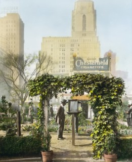 Visitors Reading Notices in Garden Sponsored by National War Garden Commission during World War I, Bryant Park, New York City, New York, USA, by Frances Benjamin Johnson, August 1918