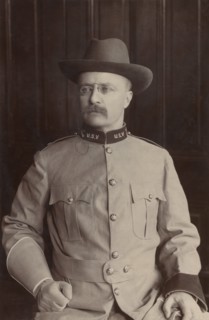 Theodore Roosevelt, Seated Portrait in Uniform, by Frances Benjamin Johnson, August 1898