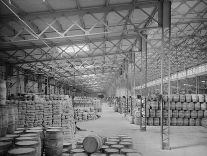 New York Central Freight Sheds, Buffalo, New York, USA, Detroit Publishing Company, 1900