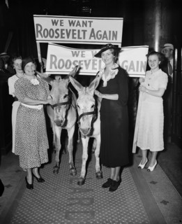 Group of Women Holding Signs "We Want Roosevelt Again" while Walking with Donkeys, Harris & Ewing, 1936