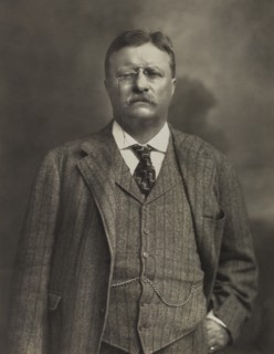 Theodore Roosevelt, Portrait, 1911