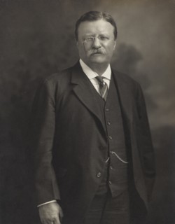 Theodore Roosevelt, Three-Quarter Length Portrait, 1913