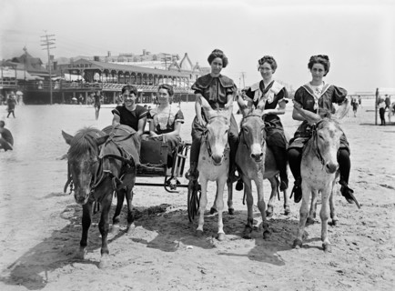 Pony Cart and Donkeys on Beach, Atlantic City, New Jersey, USA, Detroit Publishing Company, 1901