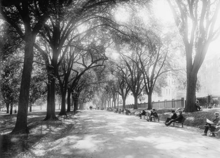 Beacon Street Mall, Boston, Massachusetts, USA, Detroit Publishing Company, 1899
