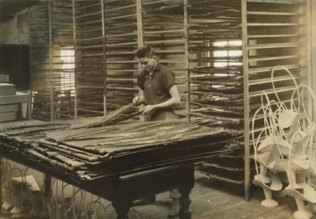 15-year-old Boy Sorting Cycas Leaves, Floral Supply Company, Boston, Massachusetts, USA, Lewis Hine for National Child Labor Committee, January 1917