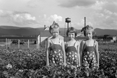 Three Young Girls Standing in Farm Field, Daughters of Homesteader, Tygart Valley Homesteads, West Virginia, USA, John Vachon for U.S. Resettlement Administration, June 1939