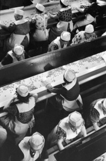Working in Cherry Canning Plant, Berrien County, Michigan, USA, John Vachon for Farm Security Administration July 1940