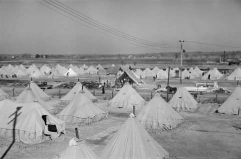 Tents for Flood Refugees, Forrest City, Arkansas, USA, Edwin Locke for U.S. Resettlement Administration, February 1937