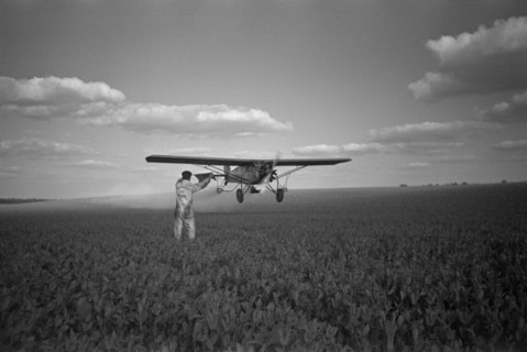 Crop Duster Flying Near Farmer in Field of Crops, Seabrook Farms, New Jersey, USA, Edwin Rosskam for Farm Security Administration, May 1938