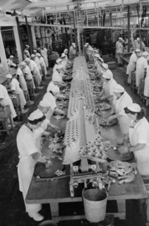 Workers Packing Salmon into Cans, Columbia River Packing Association, Astoria, Oregon, USA, Russell Lee, Farm Security Administration, September 1941
