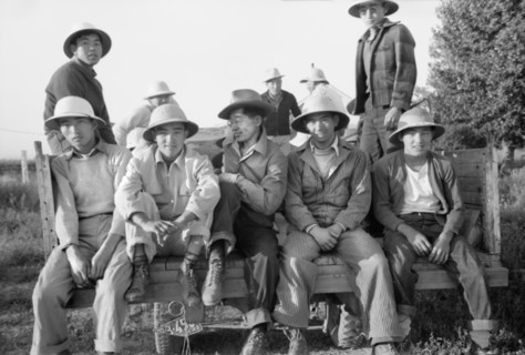 Japanese-American Farm Workers Leaving Farm Security Administration (FSA) Mobile Camp to Work in Fields, Nyssa, Oregon, USA, Russell Lee, Farm Security Administration, July 1942