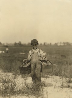 Young Boy Carrying Cranberries at Cranberry Farm, Browns Mills, New Jersey, USA, Lewis Hine, circa 1910