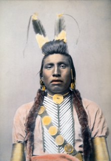 Chief White Bull, Hand Colored Albumen Photograph, circa 1882