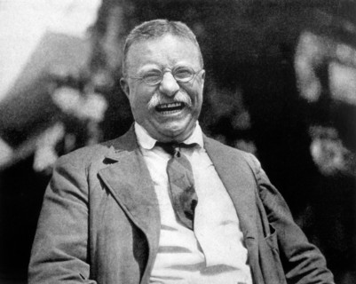 Theodore Roosevelt, 26th President of the United States, Smiling, Portrait