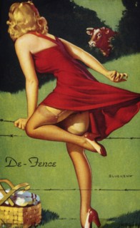Sexy Woman Climbing over Barbed Wire Fence, "De-fence", Mutoscope Card, 1940's