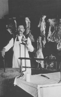 Butcher Holding Saw and Standing in Front of Hanging Meat, circa 1900