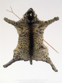 Wildcat Skin Used in Pawnee Hako Ceremony, USA, Lithograph, circa 1904