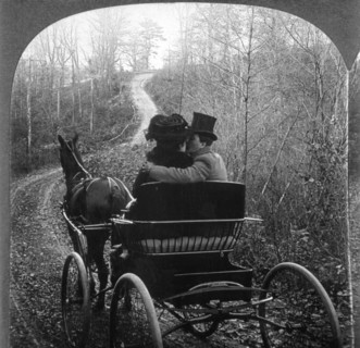 Man and Woman in a Horse Drawn Carriage, Rear View, Single Image of Stereo Card, circa 1901
