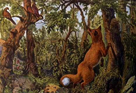 The Puzzled Fox, Currier & Ives, Lithograph, circa 1872