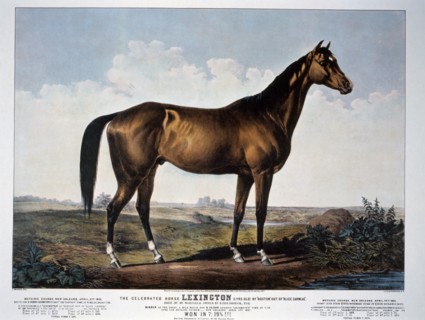 The Celebrated Horse Lexington, Currier & Ives, 1855