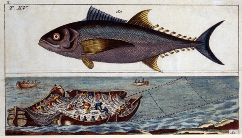 Fish and Fisherman, Hand-Colored Woodcut, circa 1800
