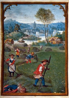 Farmers Scything Field, June, Illustration from Flemish Prayer Book, Simon Bening, 1500's