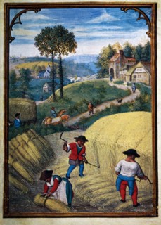 Farmers Scything Wheat Field, August, Illustration from Flemish Prayer Book, Simon Bening, 1500's