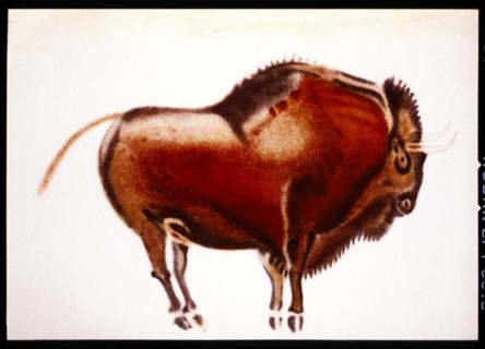 Bison, Altamira, Spain, Cave Painting from Upper Paleolithic Period