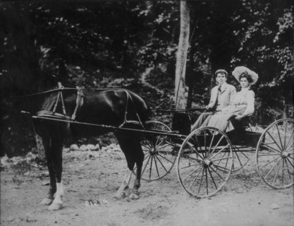 Couple in Horse-Drawn Buggy, Portrait, circa 1900