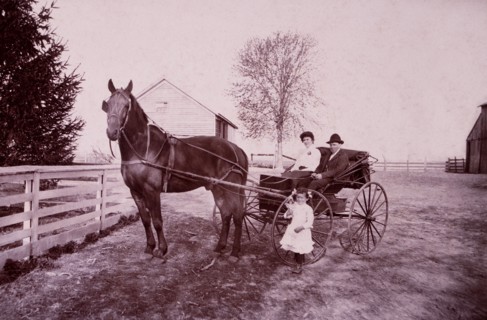 Couple and Child With Horse-Drawn Carriage, circa 1900