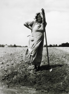 Woman Planting Tobacco, Durham, North Carolina, USA,  circa 1940