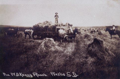 Workers Harvesting Wheat, Presho, South Dakota, USA, circa 1907