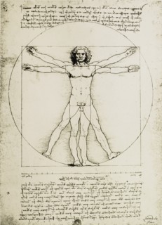Vitruvian Man, Study of Proportions, Leonardo Da Vinci, Drawing, circa 1490